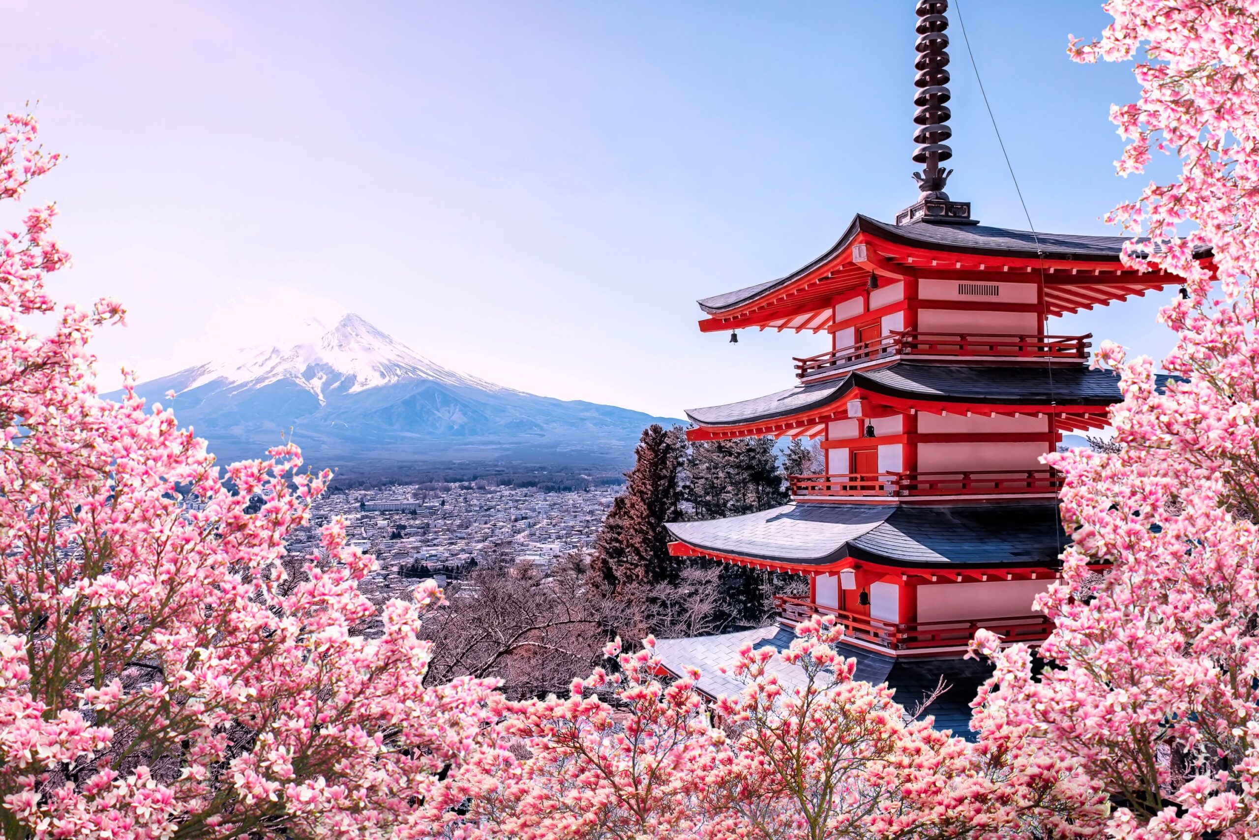 Japan Tour 2026